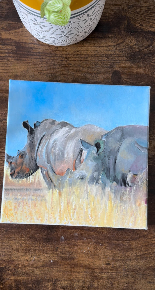 Rhinos